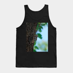 Lyristes Plebejus - Common Cicada Tank Top